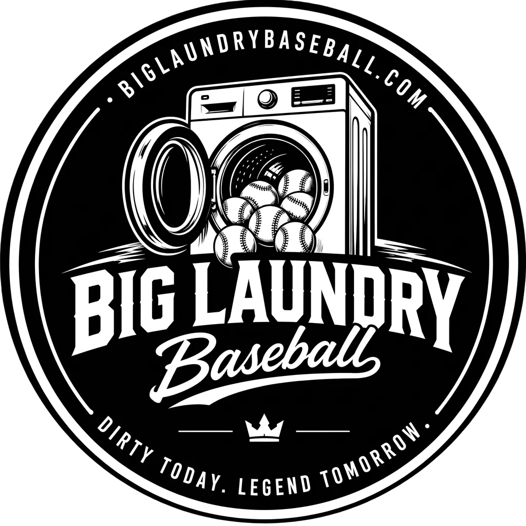 Big Laundry - Spin Cycle Sticker - 3" Round